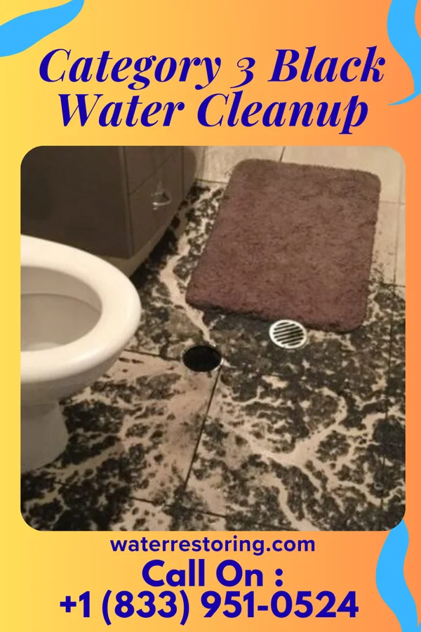 Category 3 Black Water Cleanup in Rocky Hill, NJ